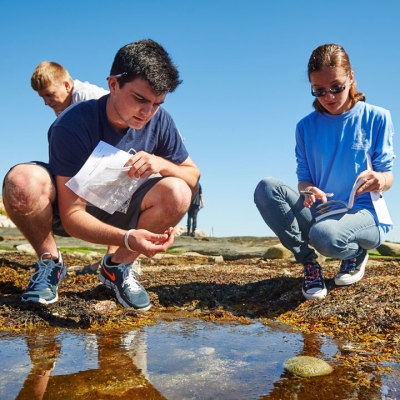 Marine Science students work on a research project at UConn Avery Point