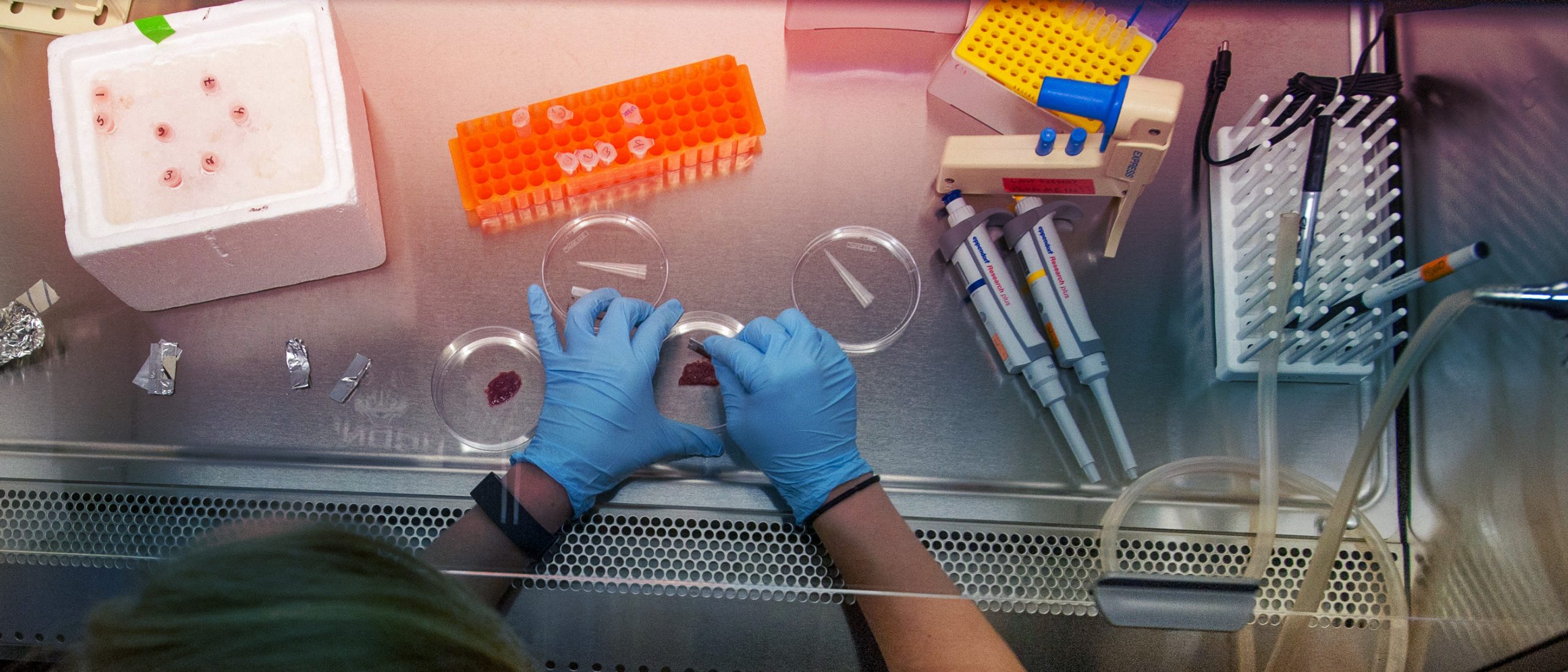 Top View of Student interacting with lab equipment