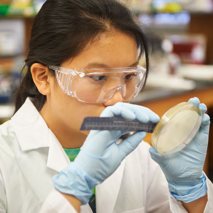 lab research underway