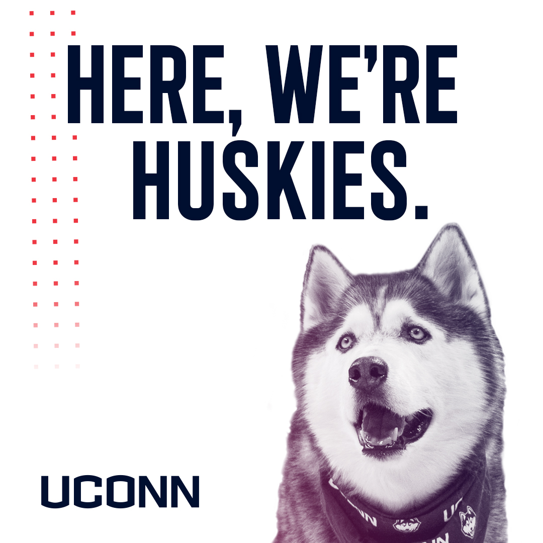 Here we're Huskies