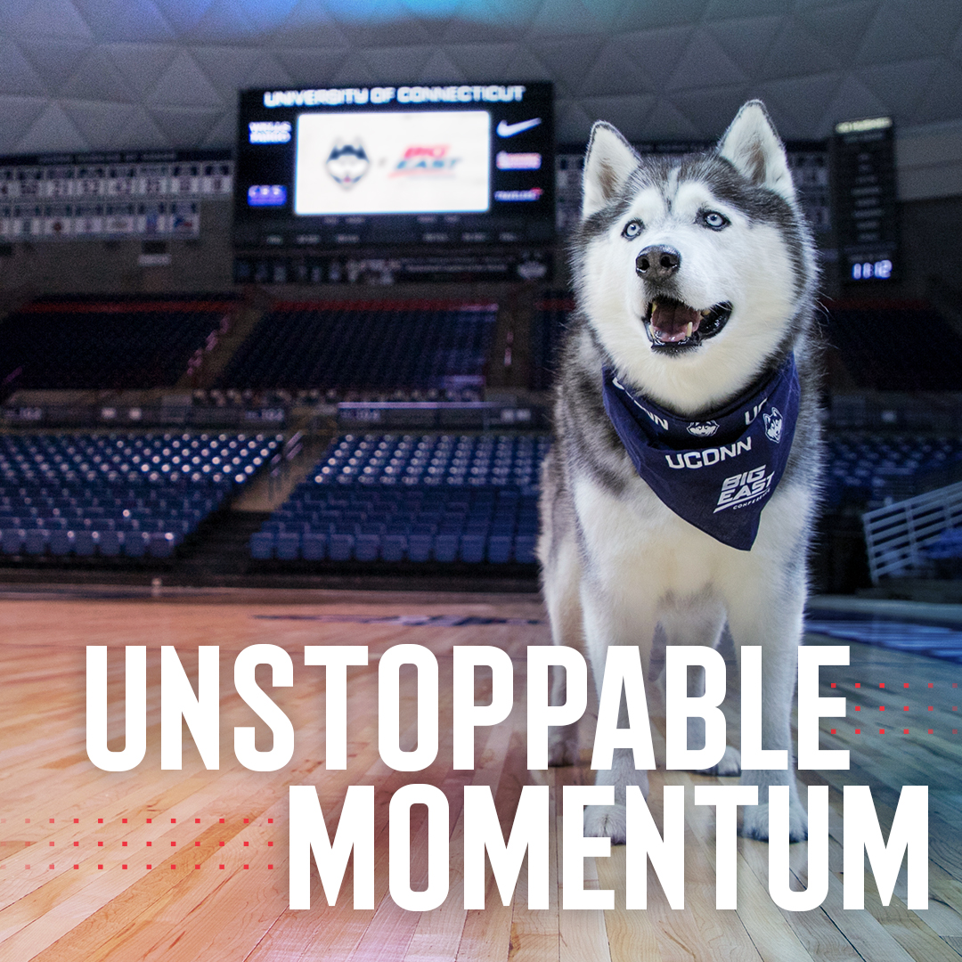 Unstoppable Momentum: Jonathan the Husky at Gampel