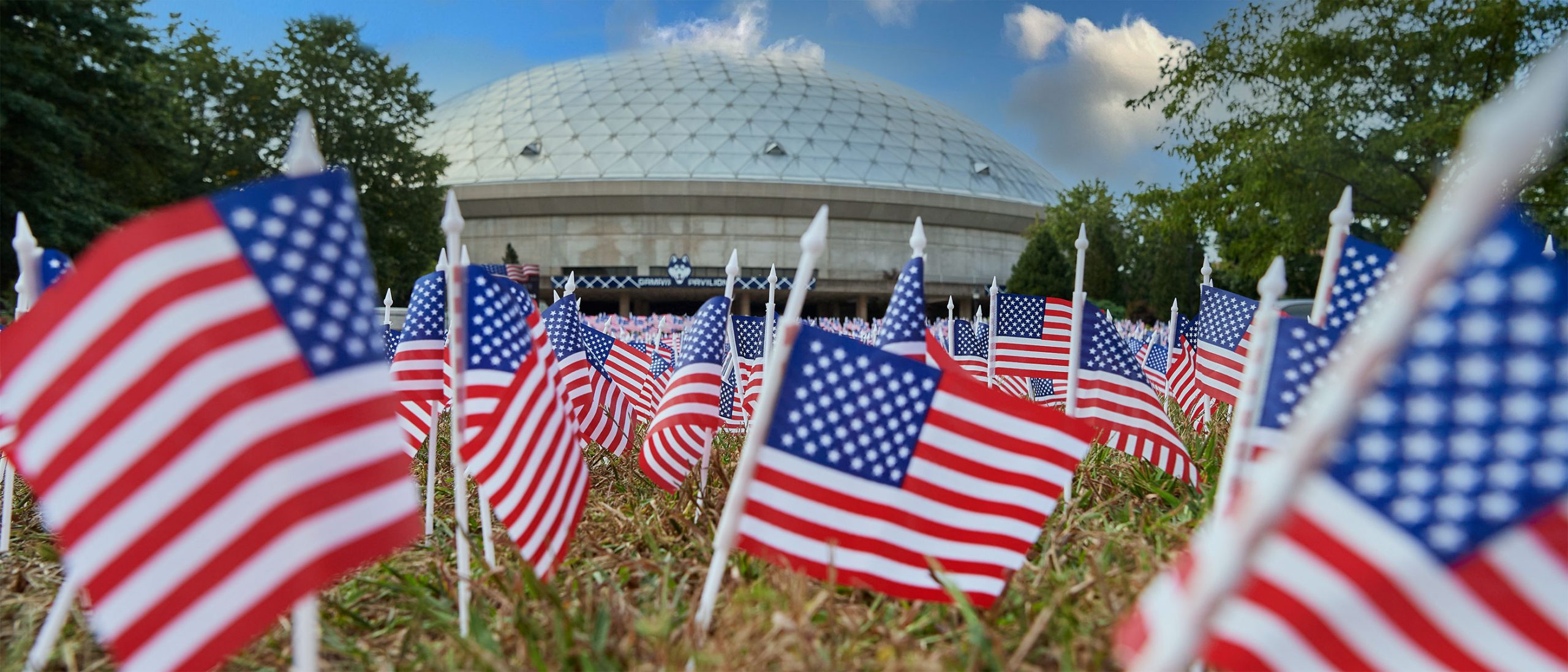USA flags pinned in the lawn in front of Gampel Stadium