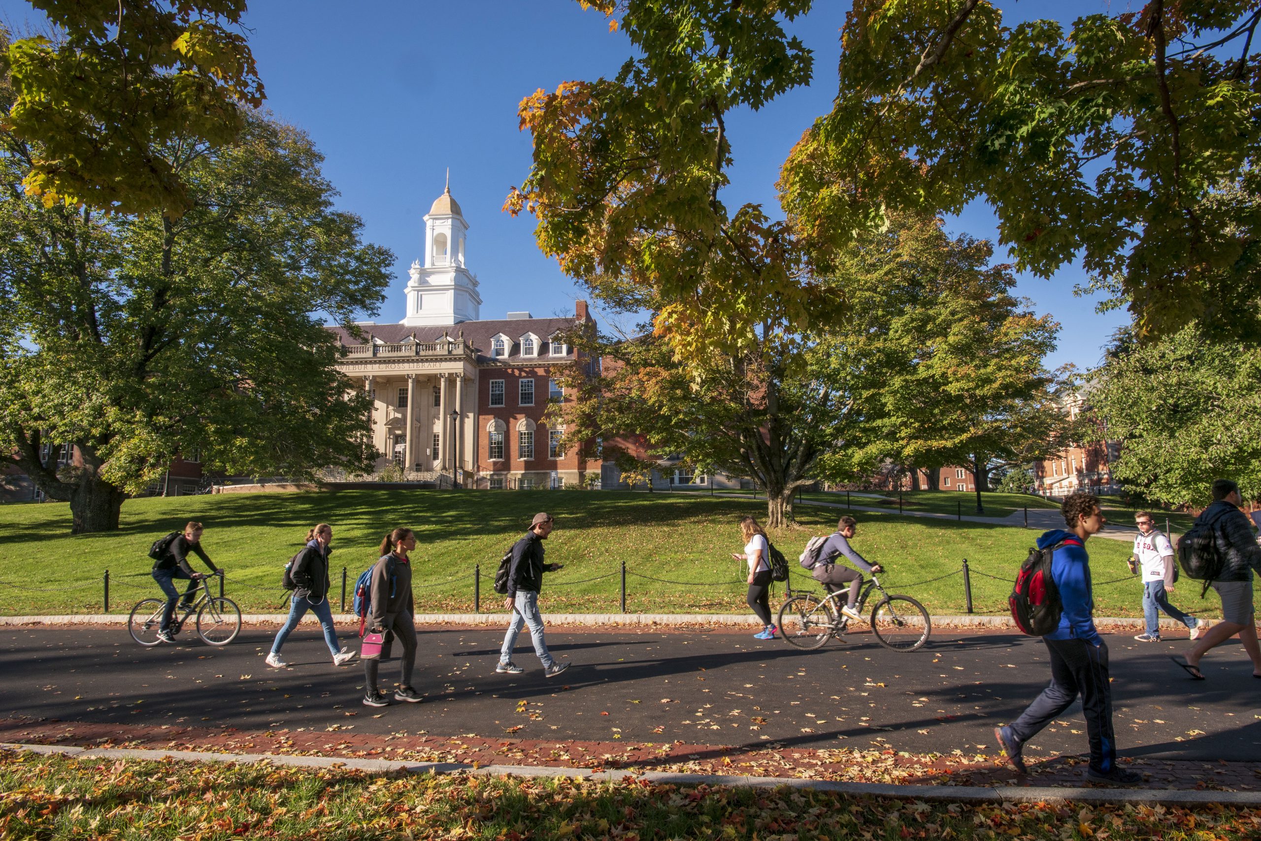 students walking to class with leaves in the foreground and the wilbur cross building in the background