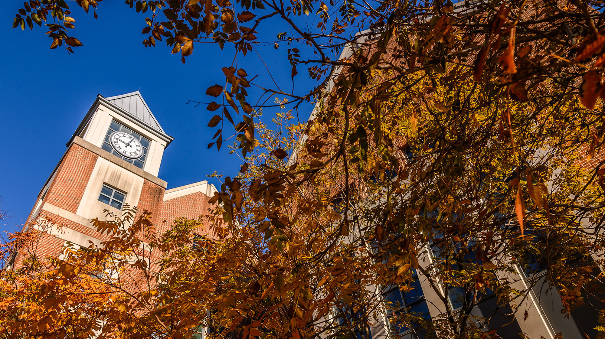 UConn waterbury campus clocktower on fall day