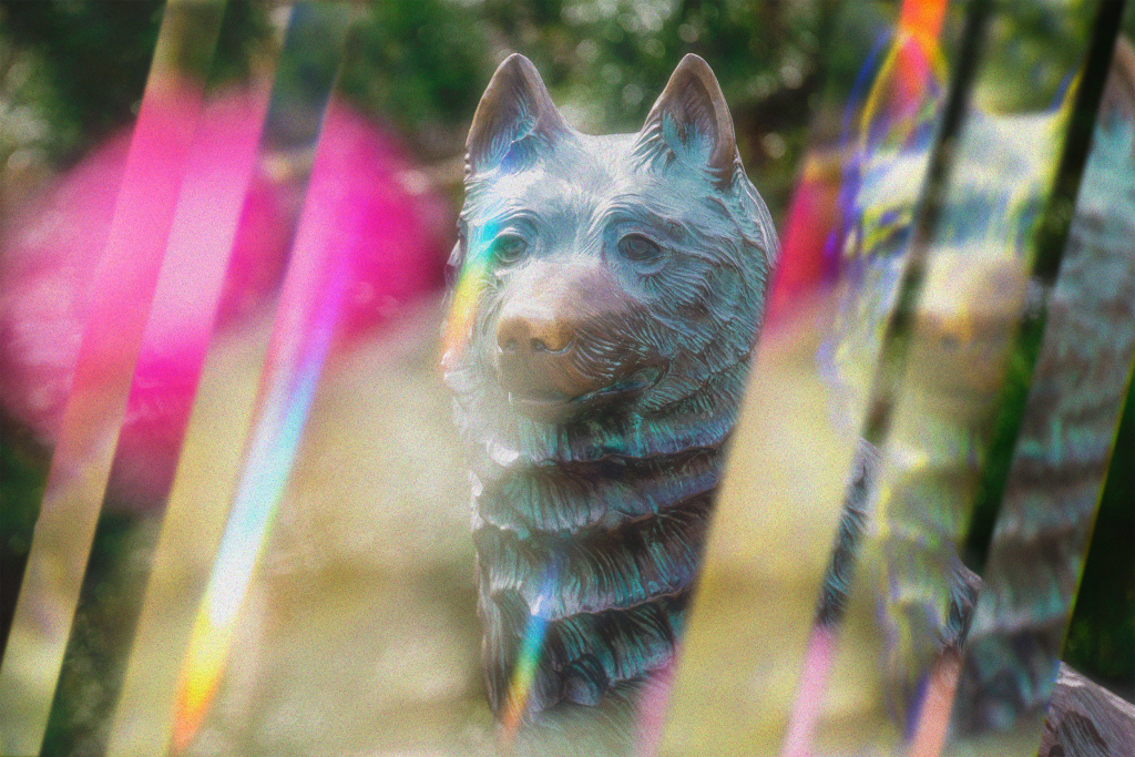 Jonathan the Husky statue in Storrs Connecticut