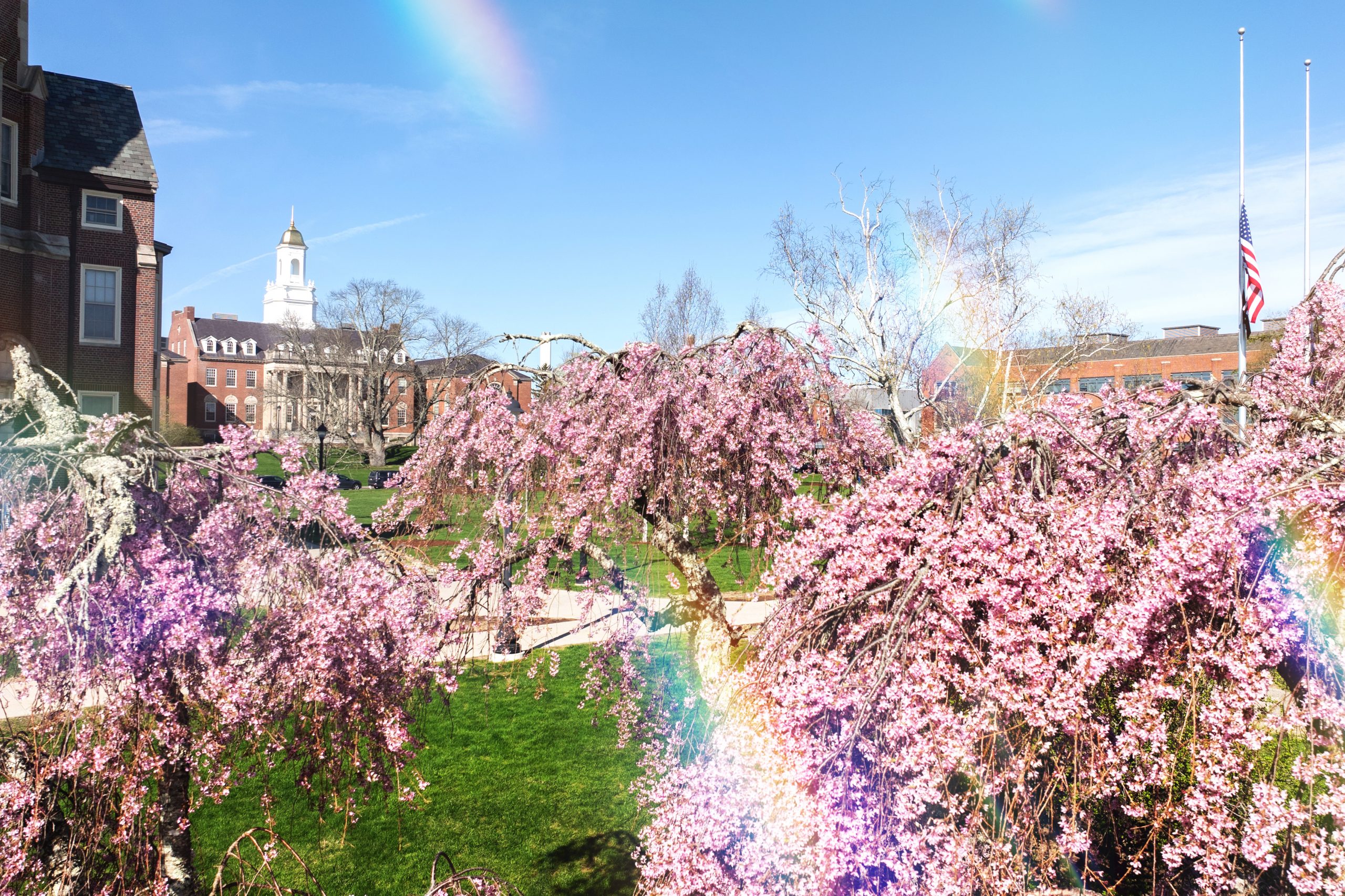 An aerial view of Wilbur Cross among blooming trees