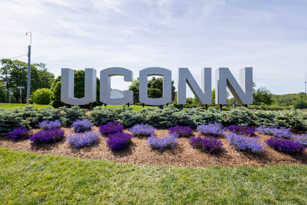 Blue and purple flowers sit in the flowerbed in front of the UConn gateway sign along Route 195
