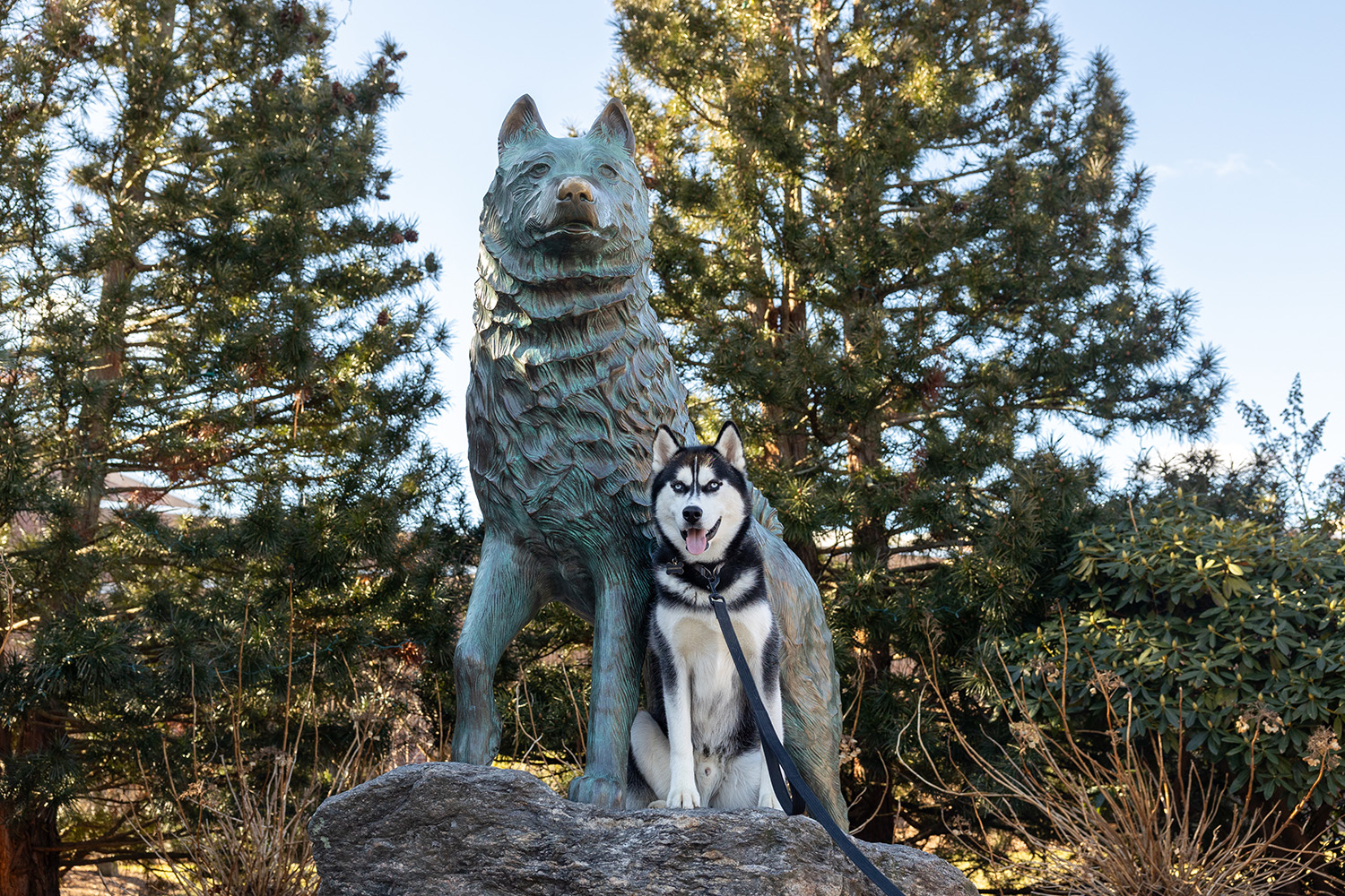 Jonathan XV poses for a photo by the Husky Statue