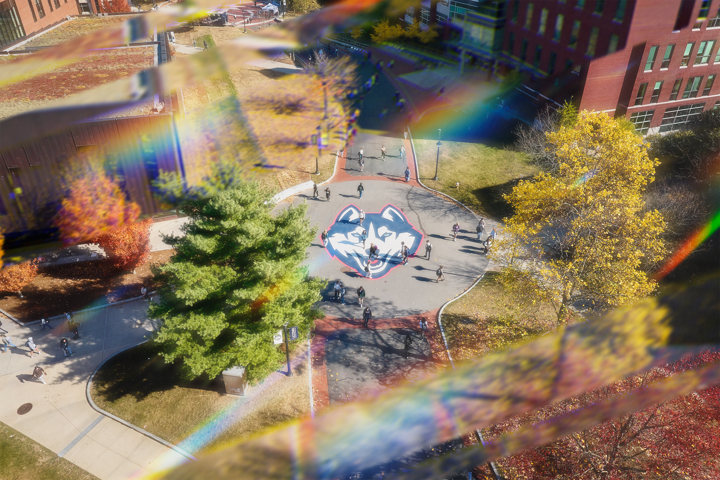 a prism of rainbow light filters over Fairfield way. Hundres of students cross the pathway that features the UConn Husky head logo.